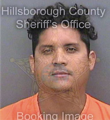 Ramos-Carpio Carlos - Hillsborough County, FL 