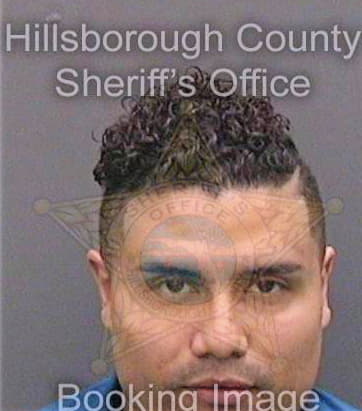 Santiago Elvin - Hillsborough County, FL 