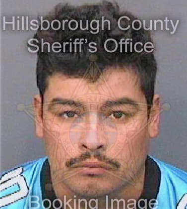 Saucedomerida Jose - Hillsborough County, FL 