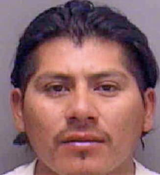 Tiburcio Josue - Lee County, FL 