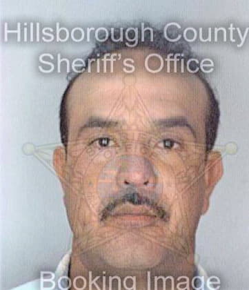 Ramos Ricardo - Hillsborough County, FL 