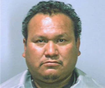 Ramos-Hernandez Seferino - Dekalb County, GA 