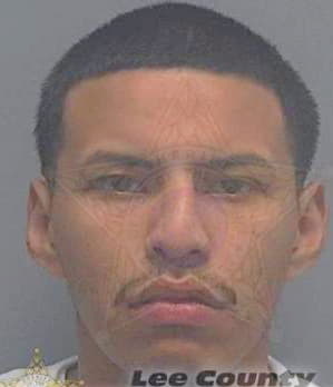 Ortiz Ernesto - Lee County, FL 