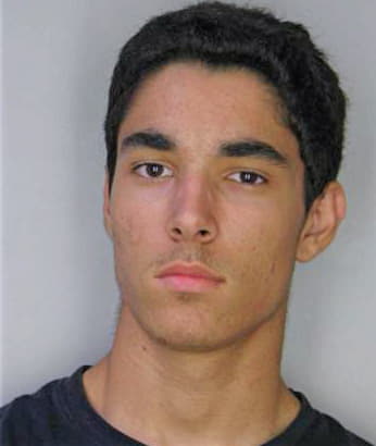Ioannidis Peter - Hillsborough County, FL 