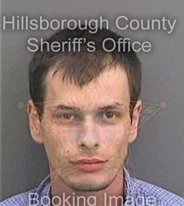 Useri Sergiu - Hillsborough County, FL 