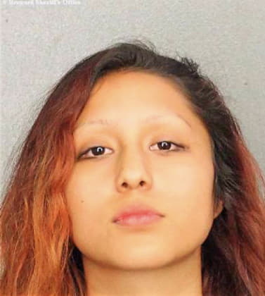 Tiger Shelli - Broward County, FL 