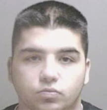 Ferreira Bruce - Mahoning County, OH 