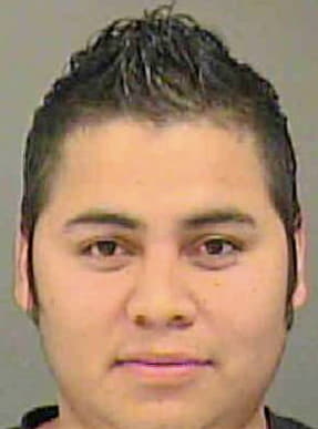 Gonzales Cristian - Mecklenburg County, NC 