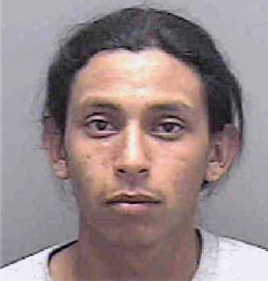 Duarte Ismael - Lee County, FL 