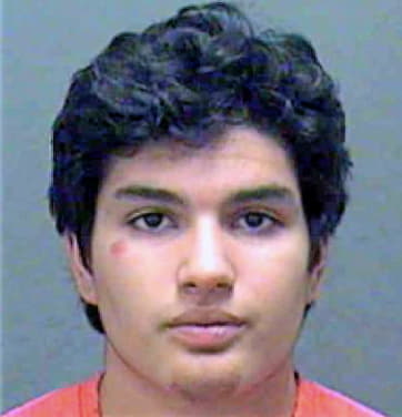 Alvarez Ivan - Mecklenburg County, NC 