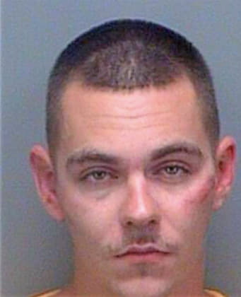 Hoover James - Pinellas County, FL 