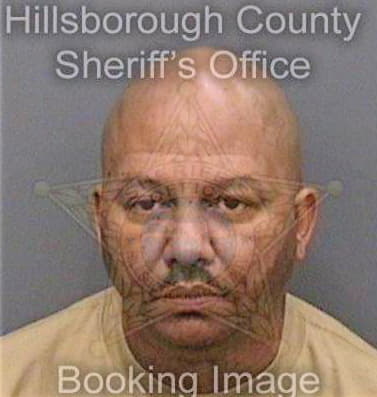 Williams Patrick - Hillsborough County, FL 