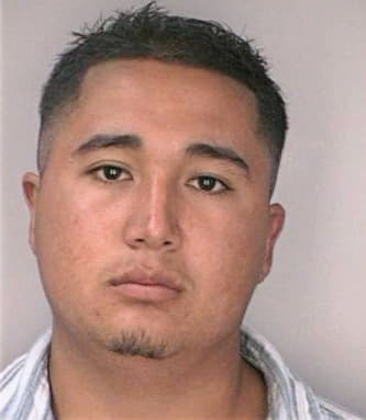 Lopezamaya Antonio - Hillsborough County, FL 