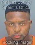 Timmons Calvin - Pinellas County, FL 