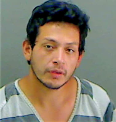 Mejia Carlos - Gregg County, TX 
