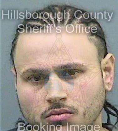 Mark David - Hillsborough County, FL 