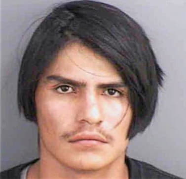 Belmanochoa Fidel - Collier County, FL 