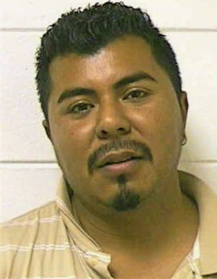 Ramirez-De-Los-Santo Luis - Houston County, GA 