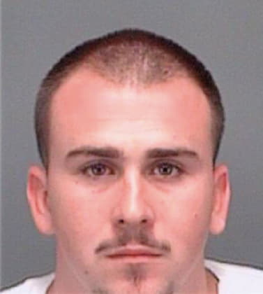 Harmon Steven - Pinellas County, FL 