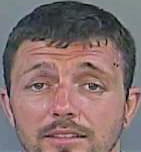 Hembree Christopher - Anderson County, SC 