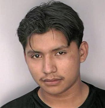 Diaz Manuel - Hillsborough County, FL 