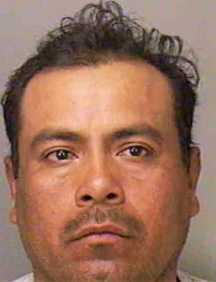 Velazquez Santiago - Polk County, FL 