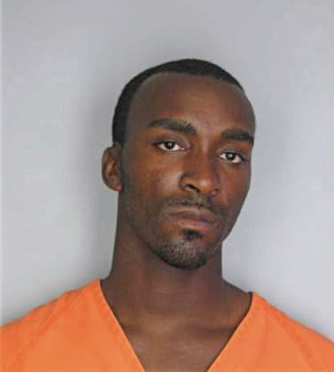 Smith Brandon - Hillsborough County, FL 