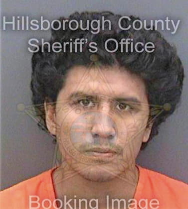 Pescadormartinez Daniel - Hillsborough County, FL 