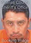 Alvarez Eric - Pinellas County, FL 