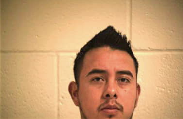 Sanchez Jonathan - Hidalgo County, TX 