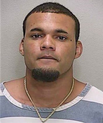 Simmons Joshua - Marion County, FL 