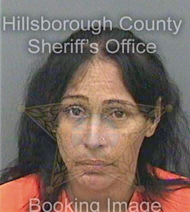 Santiagosanchez Lizzette - Hillsborough County, FL 