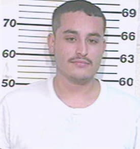 Anaya Alonso - Hidalgo County, TX 