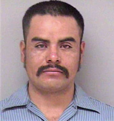Aquino Cirilo - Madera County, CA 