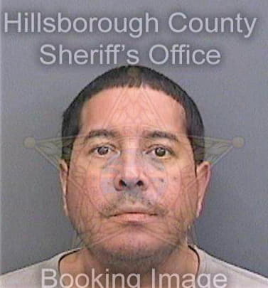 Carvajal Ivan - Hillsborough County, FL 