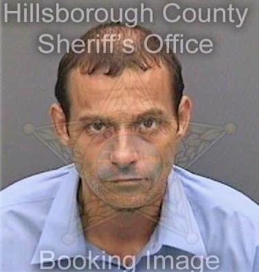 Hanna James - Hillsborough County, FL 