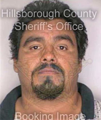 Mendozaramirez Jose - Hillsborough County, FL 