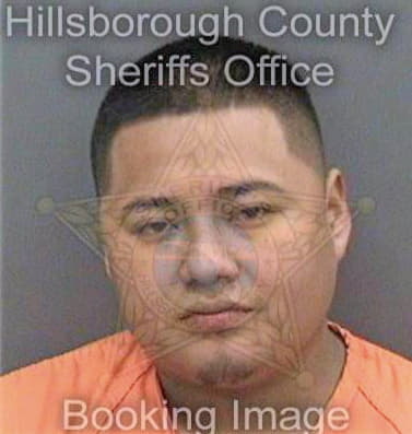 Espinoza Aurelio - Hillsborough County, FL 
