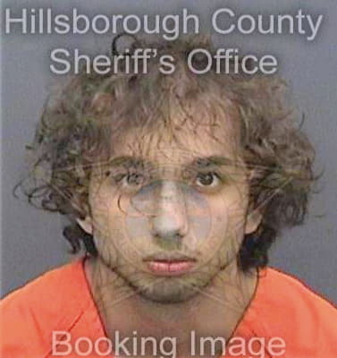 Elalami Hamza - Hillsborough County, FL 