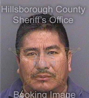 Tapiacortes Pablo - Hillsborough County, FL 
