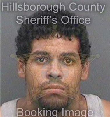 Reyes Carlos - Hillsborough County, FL 