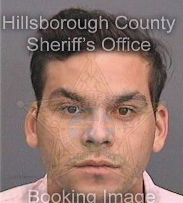 Chang-Vargas Jorge - Hillsborough County, FL 
