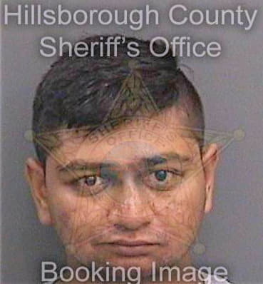 Patel Urvish - Hillsborough County, FL 