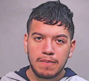 Sepulveda Arturo - Hidalgo County, TX 