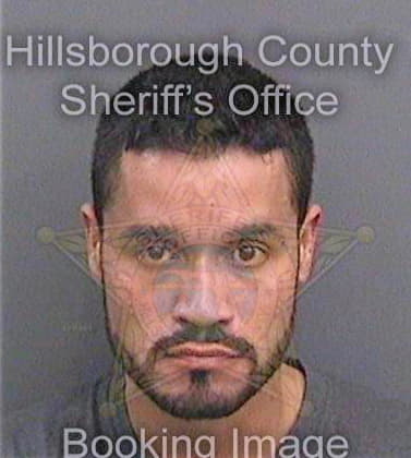 Lopez Didier - Hillsborough County, FL 