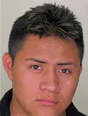 Diazperez Mauricio - Hillsborough County, FL 