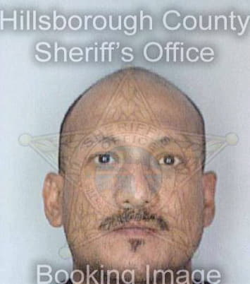 Davila Miguel - Hillsborough County, FL 