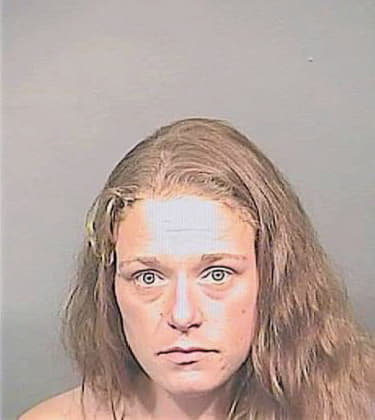 Robinson Stephanie - Brevard County, FL 