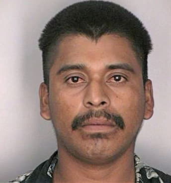 Rosas Jorge - Hillsborough County, FL 
