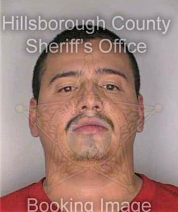 Vasconez Christian - Hillsborough County, FL 
